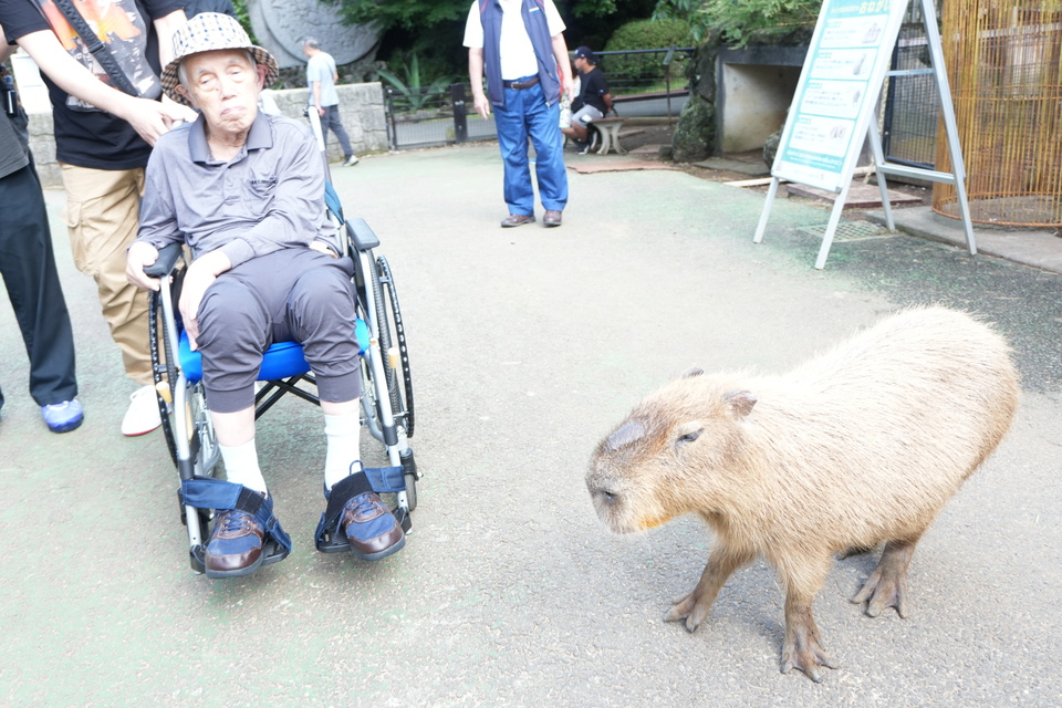 伊豆一泊旅行